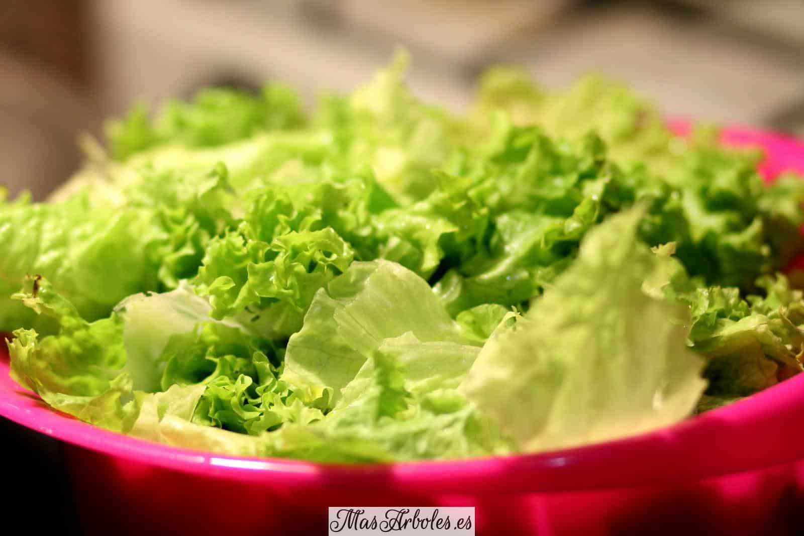 Green and White Lettuce