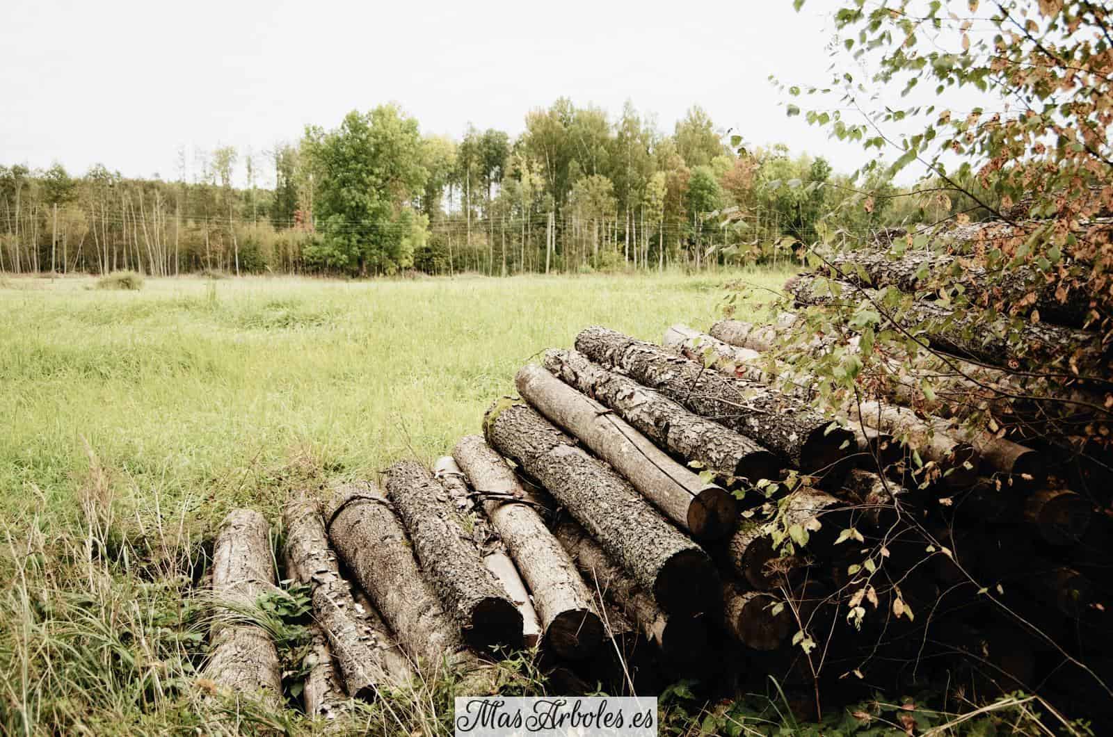 Timber logs stacked up in pile on grassy field against colorful trees and cloudy sky on autumn nasty day in countryside