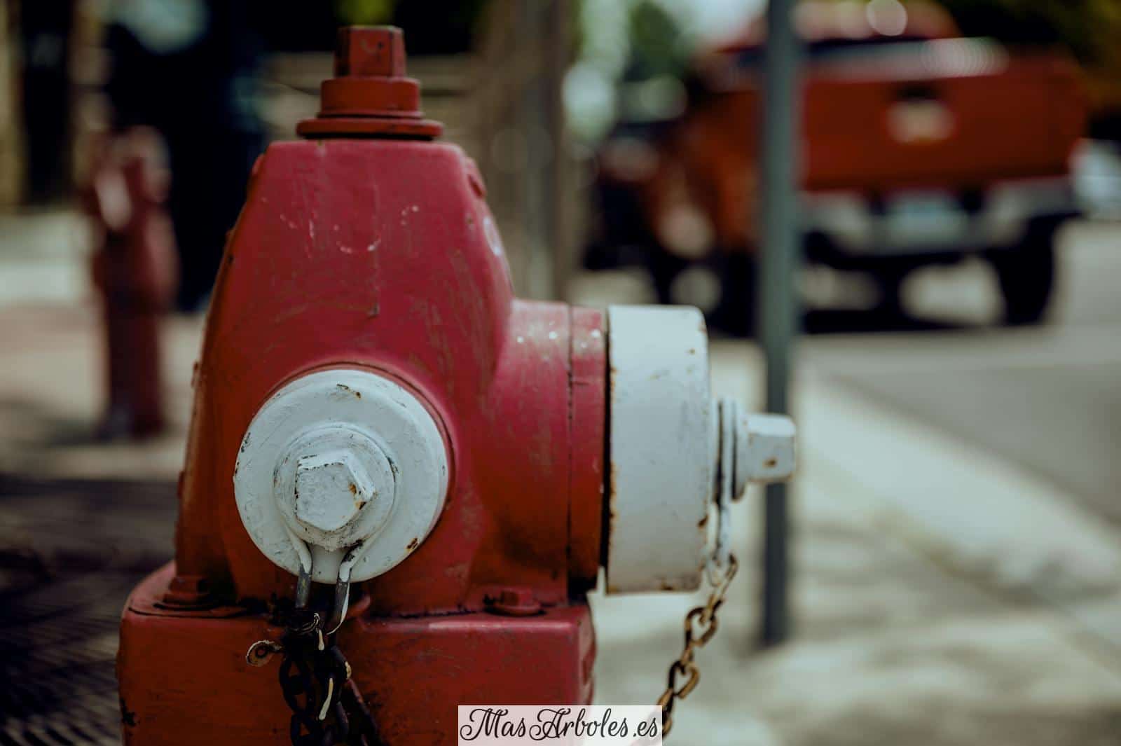 Shabby red and white metal fire hydrant with rusty chain located on city street in daytime