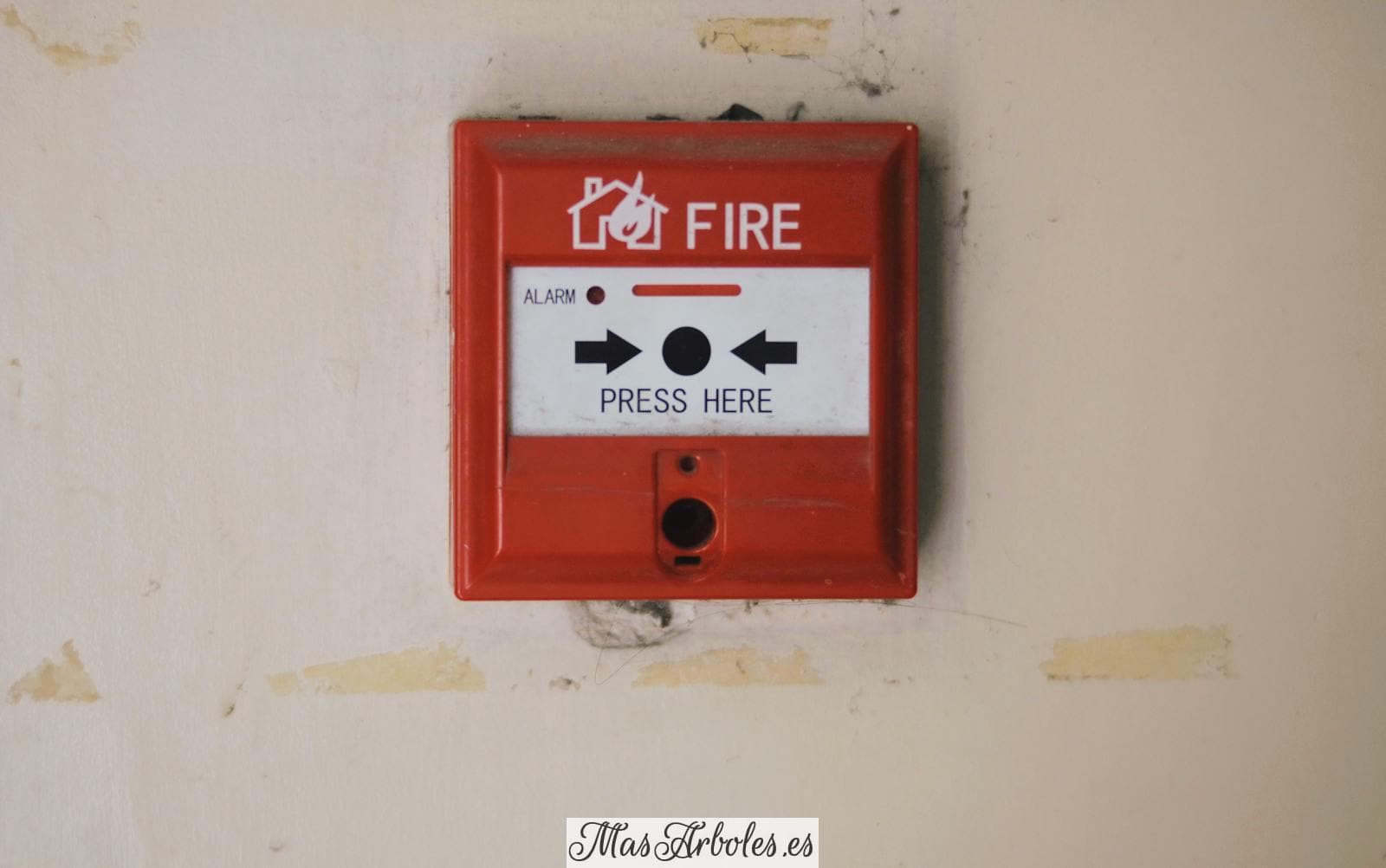 Emergency safety fire detection system box for safety with inscription and push button placed on white wall in light room