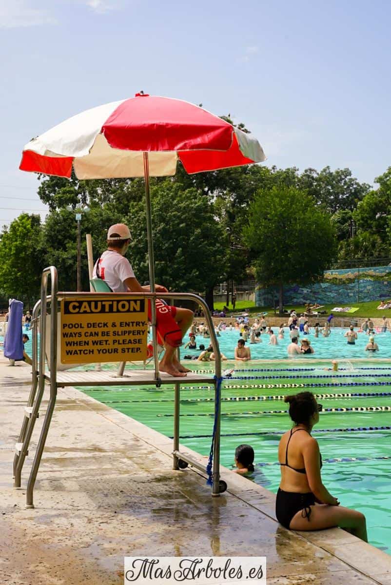 people swimming during daytime