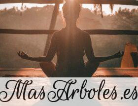 woman doing yoga meditation on brown parquet flooring