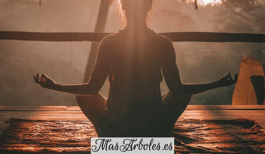 woman doing yoga meditation on brown parquet flooring